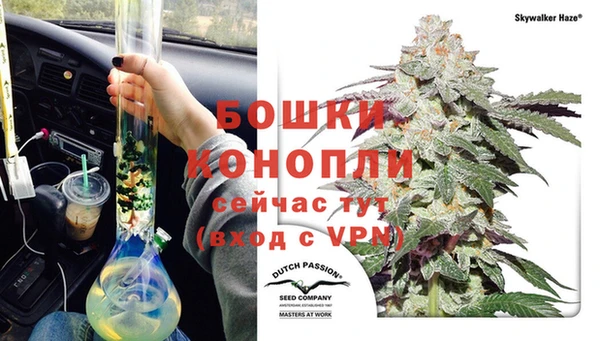 ПСИЛОЦИБИНОВЫЕ ГРИБЫ Волосово