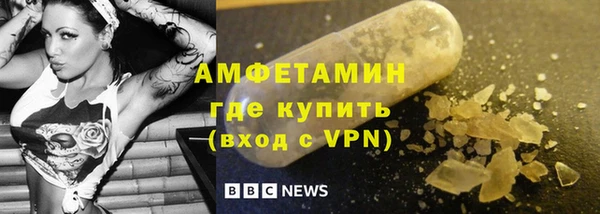 сатива Верея