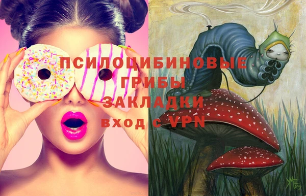 ПСИЛОЦИБИНОВЫЕ ГРИБЫ Волосово