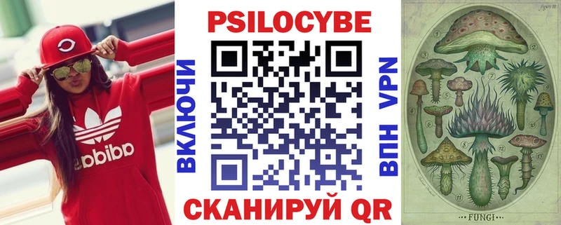 Галлюциногенные грибы Psilocybe  Вуктыл 